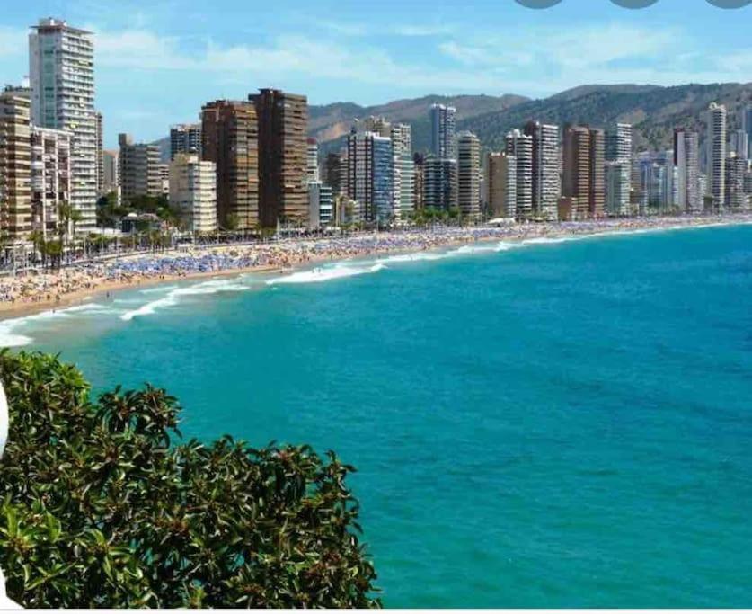 Appartement Inmejorable Ubicacion,70M Playa 70M Pueblo à Benidorm Extérieur photo